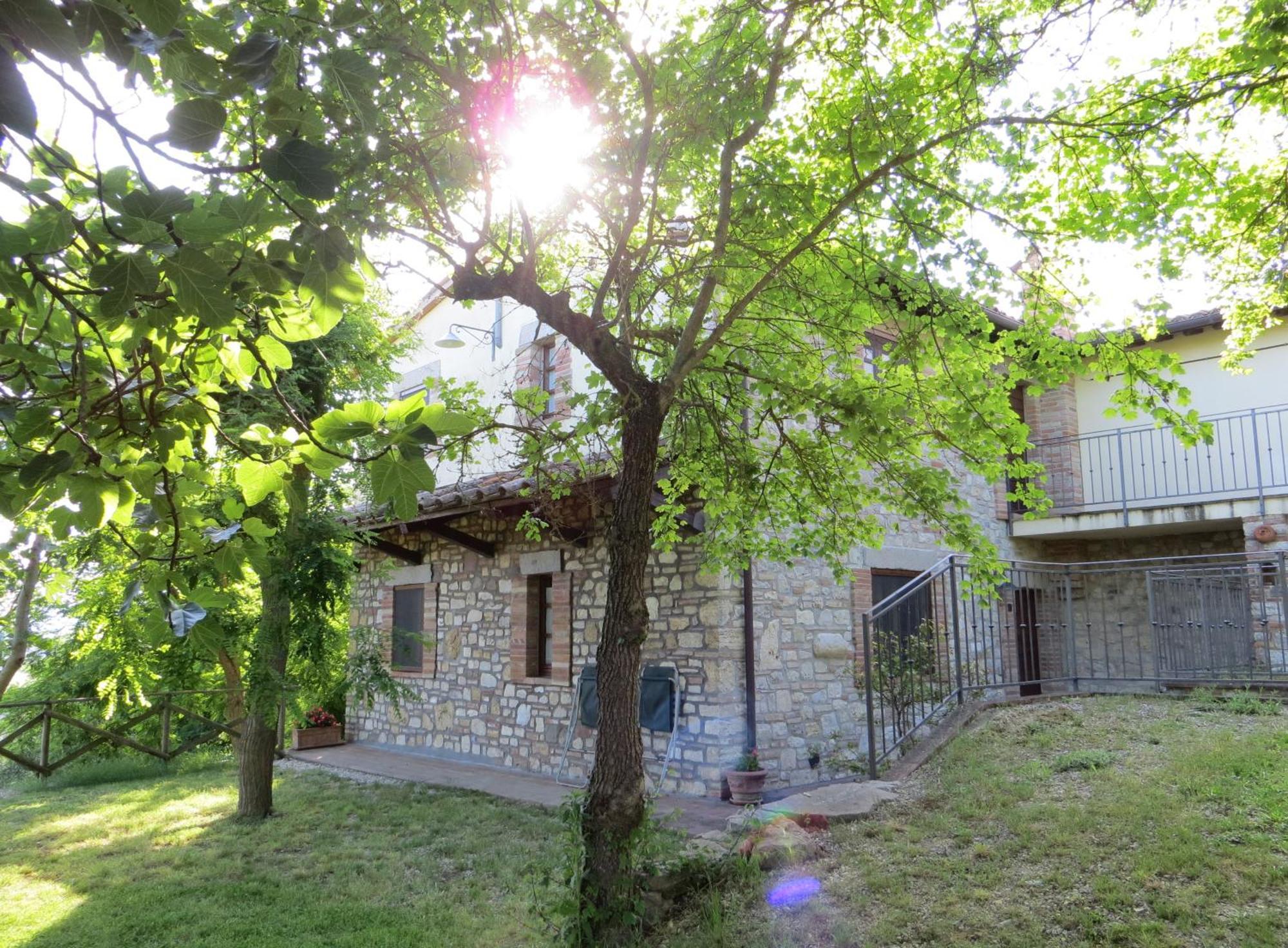 Agriturismo Casale Delle Lucrezie Todi Kültér fotó