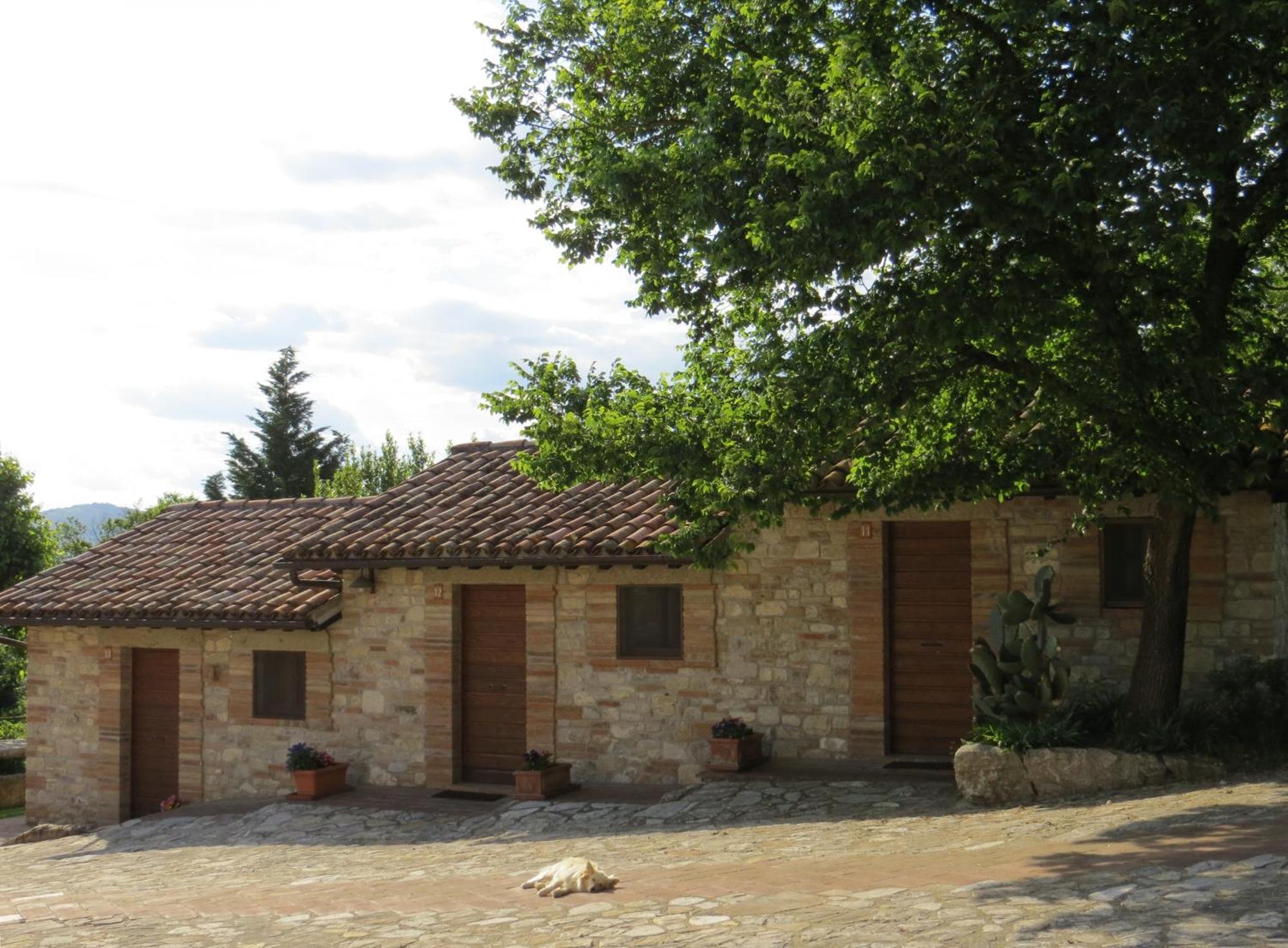 Agriturismo Casale Delle Lucrezie Todi Kültér fotó